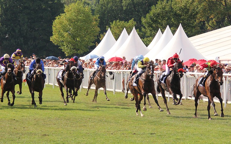 Galopprennbahn Bad Harzburg